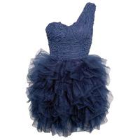 Opulence Lace Tutu Ballerina Dress