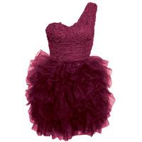 Opulence Lace Tutu Ballerina Dress