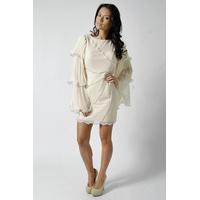 opulence winged embellished shift dress