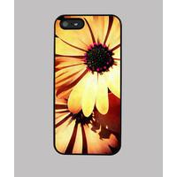 orange daisy iphone 5