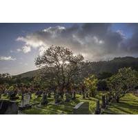 Orbs of Oahu Ghost Night Tour