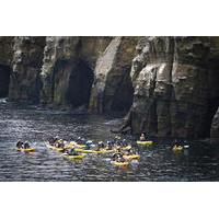 original sea cave kayak tour