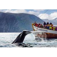Original Whale Watching Tour on board a Traditional Oak Ship from Husavik