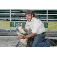 orlando wildlife tour airboat ride and gatorland combo including trans ...