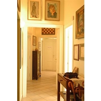 Orti di Trastevere