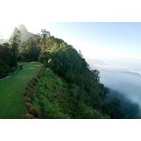 ORNEO HIGHLANDS RESO