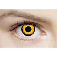 orange warewolf 1 month halloween coloured contact lenses mesmereyez x ...