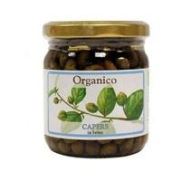 Organico Org Capers 100g (1 x 100g)