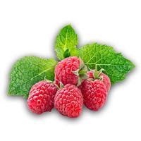 Origins Raspberry Menthol