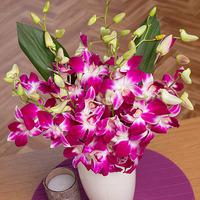 Oriental Orchids