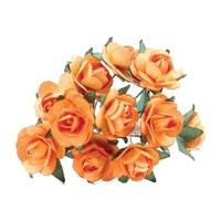 orange tea roses