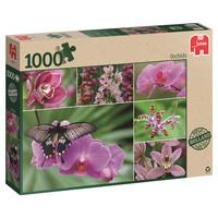 orchids jumbo generic 1000 piece jigsaw puzzle