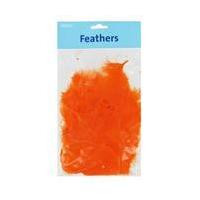 Orange Craft Feathers