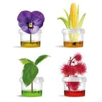 Original Plantarium Â® Gardene...