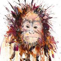 Orangutan By Dave White