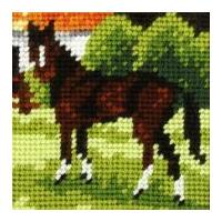 Orchidea Tapestry Embroidery Kit Brown Horse