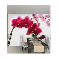 Orchid Wall Mural 2.32m x 3.15m