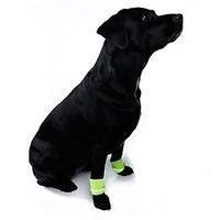 orangeyellow dog walking safety wristband for pets dogsassorted sizes  ...