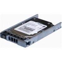 Origin Storage SAS 300GB (DELL-300SAS/10-S12)