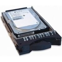 Origin Storage SAS 300GB (DELL-300SAS/10-S9)