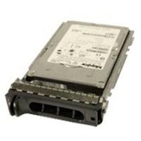 Origin Storage SAS 300GB (DELL-300SAS/15-S6)