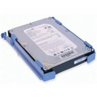 Origin Storage SAS 300GB (DELL-300SAS/15-F14)