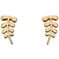 ORLA KIELY Ladies Gold Plated Earrings