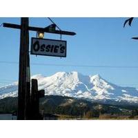 Ossies Motels and Chalets