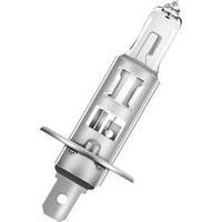 OSRAM 64150-01B H1 (P14.5s) Bulb P14.5s 12V