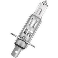 OSRAM 64150ULT-HCB Bulb P14.5s 12V