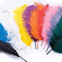 Ostrich Plumes. Assorted. Pack of 10