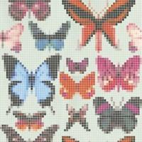 osborne amp little wallpapers butterfly house w6594 02