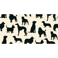Osborne & Little Wallpapers Best in Show, W5872/01