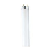 Osram BIOLUX L 36W/965