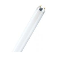 Osram Lumilux T8 36W G13