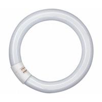 Osram L 32W/840 C