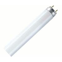 Osram Fluora L 30W/77