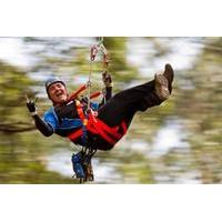 Otway Fly Victoria - Treetop Adventures