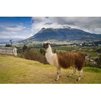 Otavalo Day Trip from Quito: Craft Market and Parque Condor