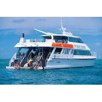 outer great barrier reef snorkeling and diving cruise from port dougla ...