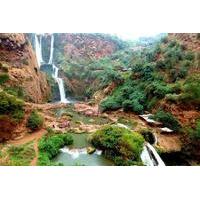 Ouzoud Waterfalls Private Day Trip from Marrakech