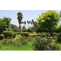 Ourika Garden Guided Day Trip from Marrakech