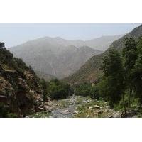 ourika valley private guided day tour from marrakech