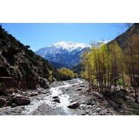 Ourika Valley and Atlas Mountain Day Tour from Marrakech