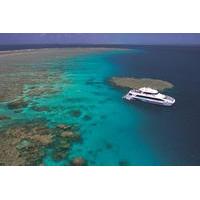 Outer Great Barrier Reef Dive and Snorkel Cruise from Port Douglas