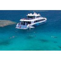 Outer Great Barrier Reef Dive and Snorkel Cruise from Palm Cove