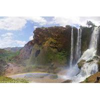 Ouzoud Waterfalls Small-Group Day Tour from Marrakech
