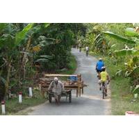 Oudong\'s Country Trails Bike Tour from Phnom Penh