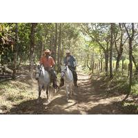 Overnight: Somoto Canyon and Miraflor Natural Reserve from León