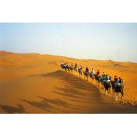 Overnight Desert Trip from Marrakech with Camel Ride